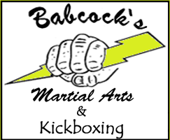 Babcock's Karate Logo